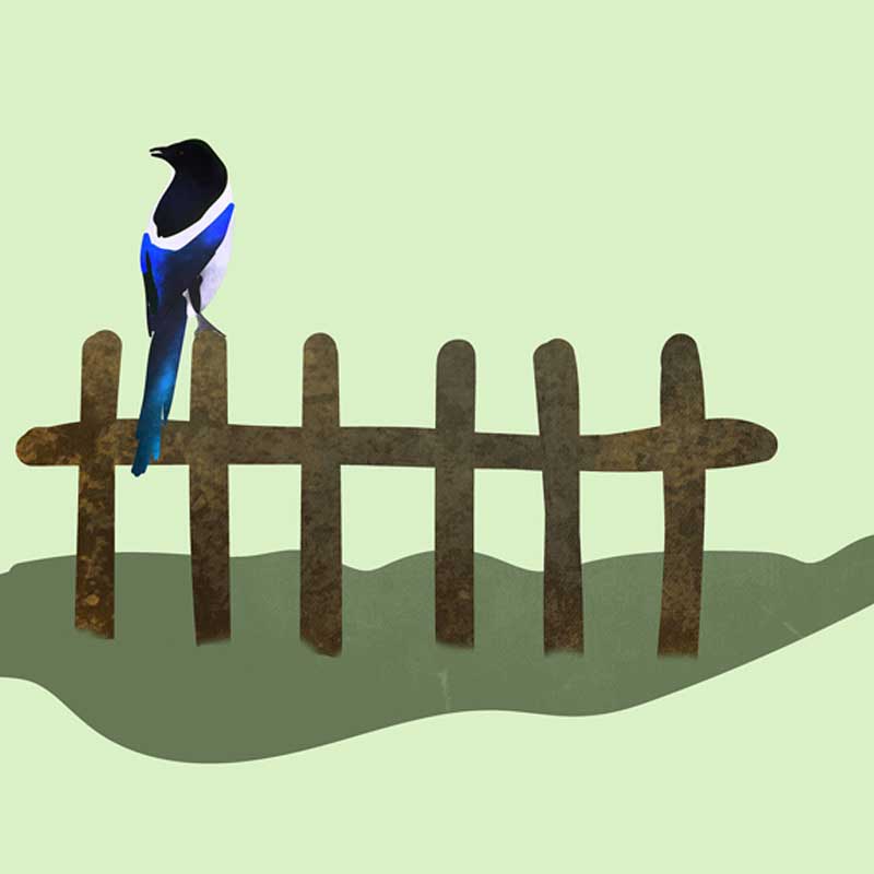 Hoodie with Pocket - Image 5