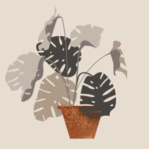 Shirt Pearl Cream for Men