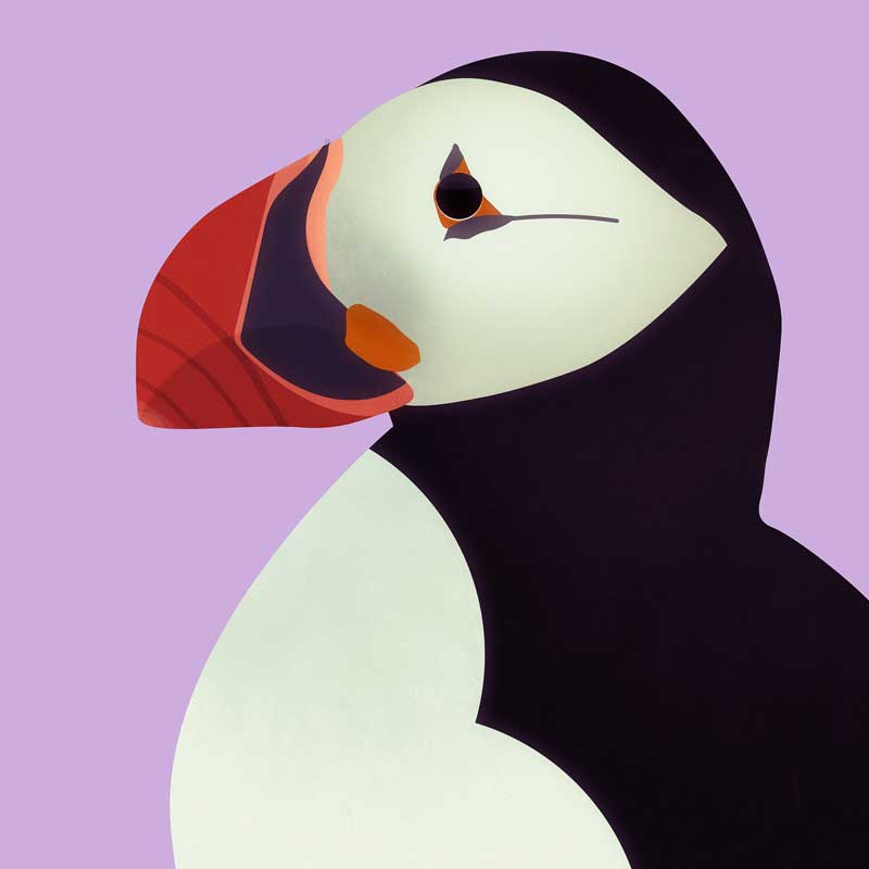 First Album - Image 2