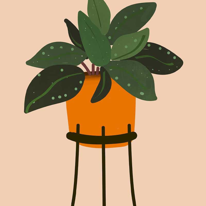 Hoodie with Pocket - Image 3