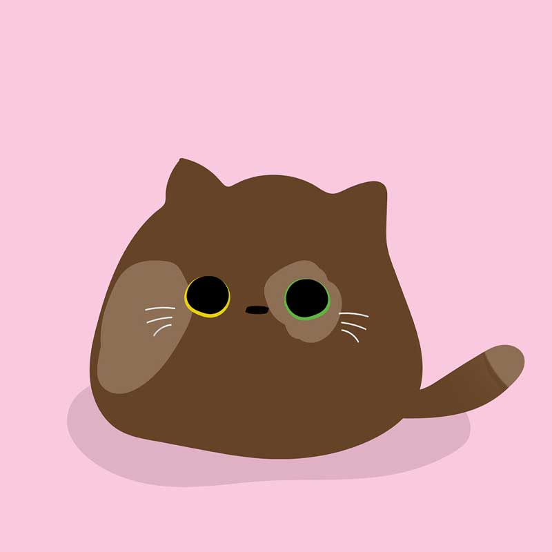 First Album - Image 5